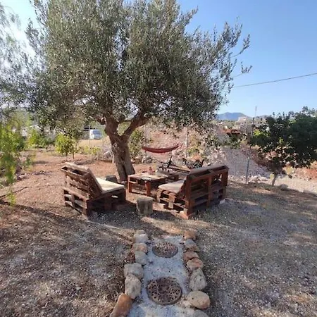 Daire Lenia's Ayos Nikolaos